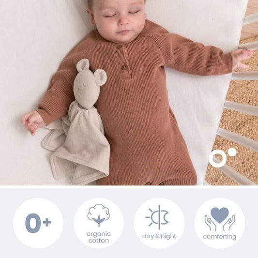 V4HD2493D119919008972B028F1E8D1816BR5169293P2