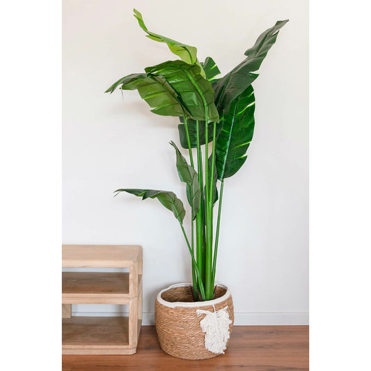 V2H422FBE6F68253F85F5296F6C1BA01E51R7429609P2