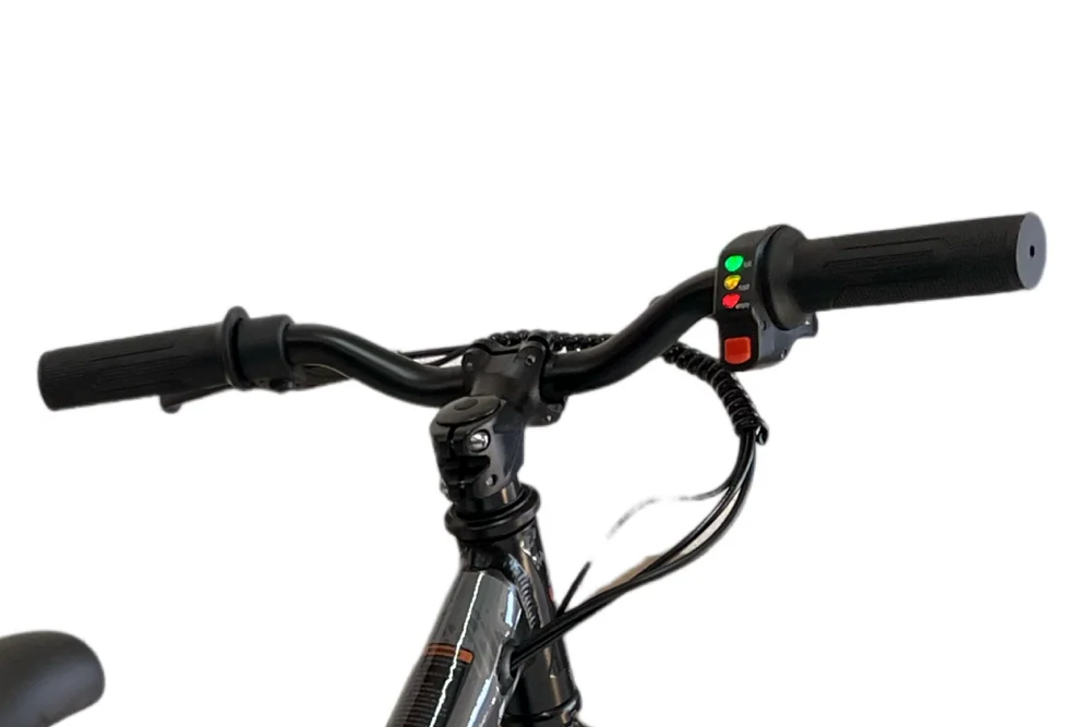 24 Volt Elektrische Balance Bike Met 16 Inch Wielen, Elektrische Motor - Zwart