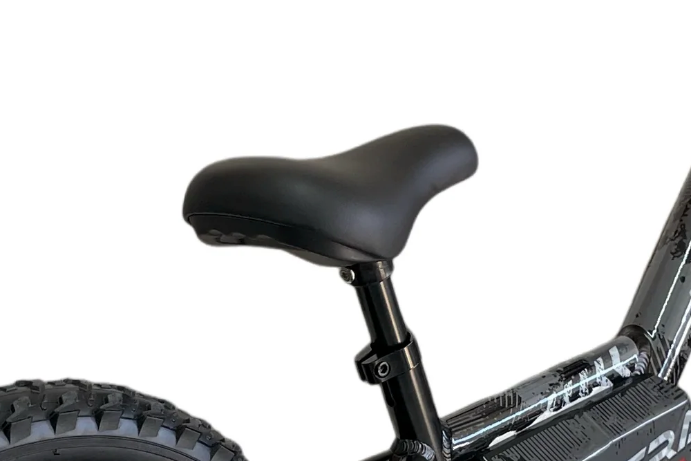 24 Volt Elektrische Balance Bike Met 16 Inch Wielen, Elektrische Motor - Zwart