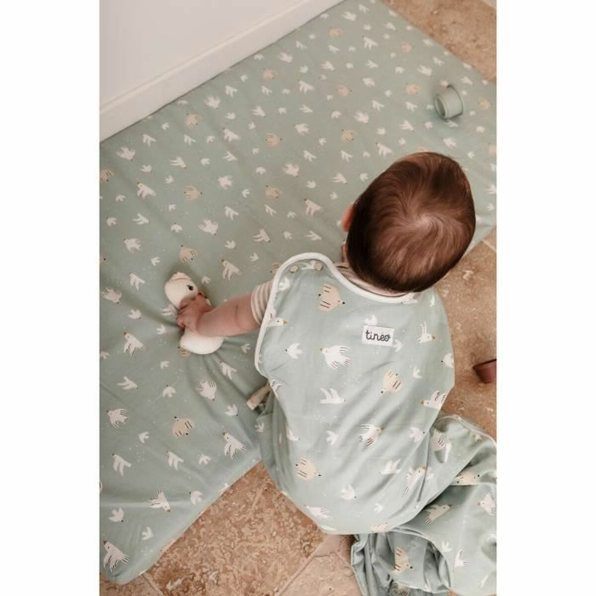 V3H53B32B3ED9C9B2FB57346248EB0A17ADR5774554P6