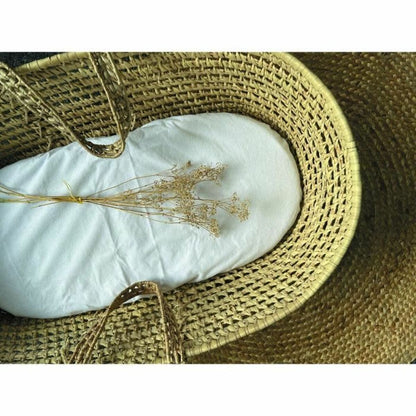 V3H802BF4F0FA9EFA4CA68ABAE7C9A3F693R5773837P4