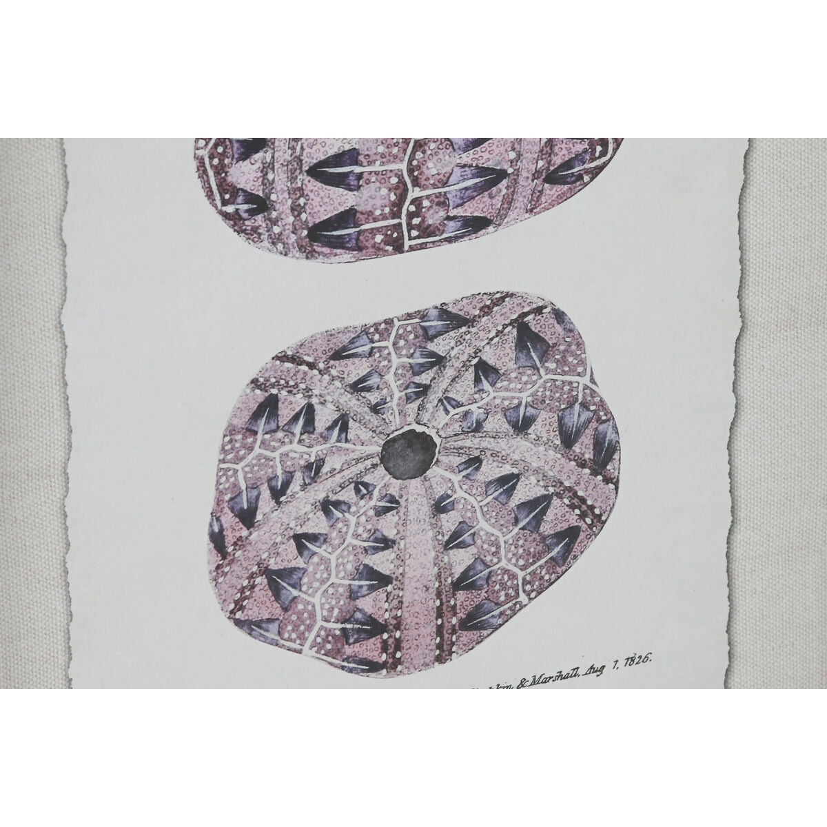 V7HA5A2DE41A908F0F47F1CB6FD8FB62C65R6372717P3