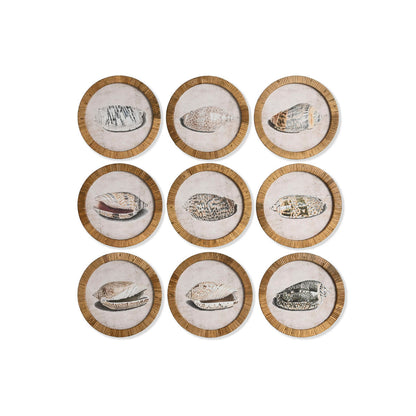 V2H73ADE1F988C38EE2289F1A1903A31F50R7422546P4