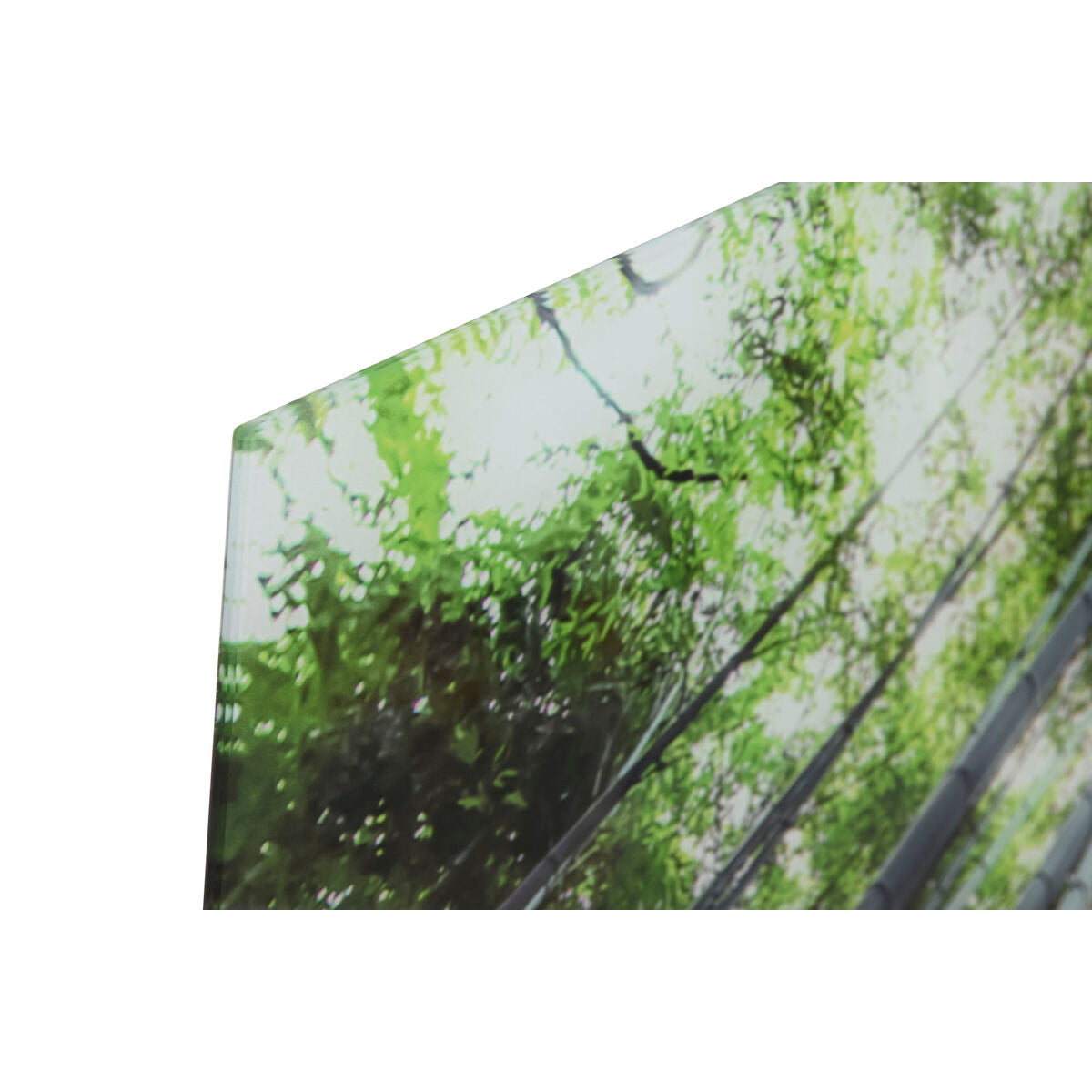 V5HAA19CF00DA1945D100EF7AFEA9E10735R6373239P2