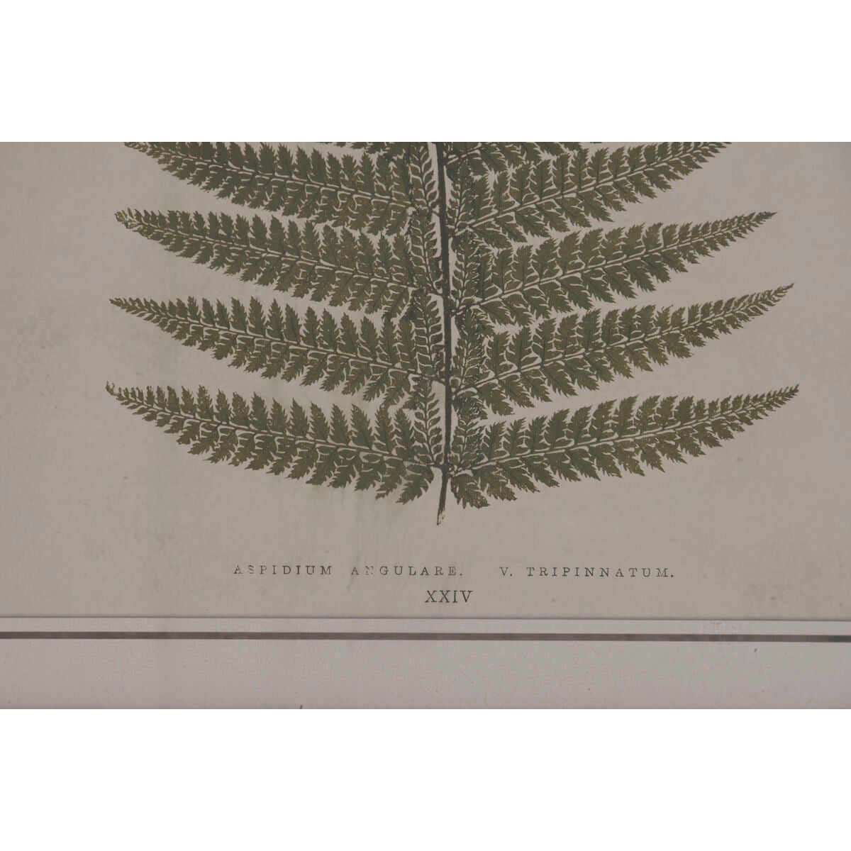 V2HB84321E047DE7247B804F1C421077A59R7429297P3