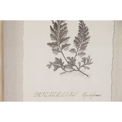 V2HD50A711DD2AF01BEE72040435CFD4CE6R7430172P3