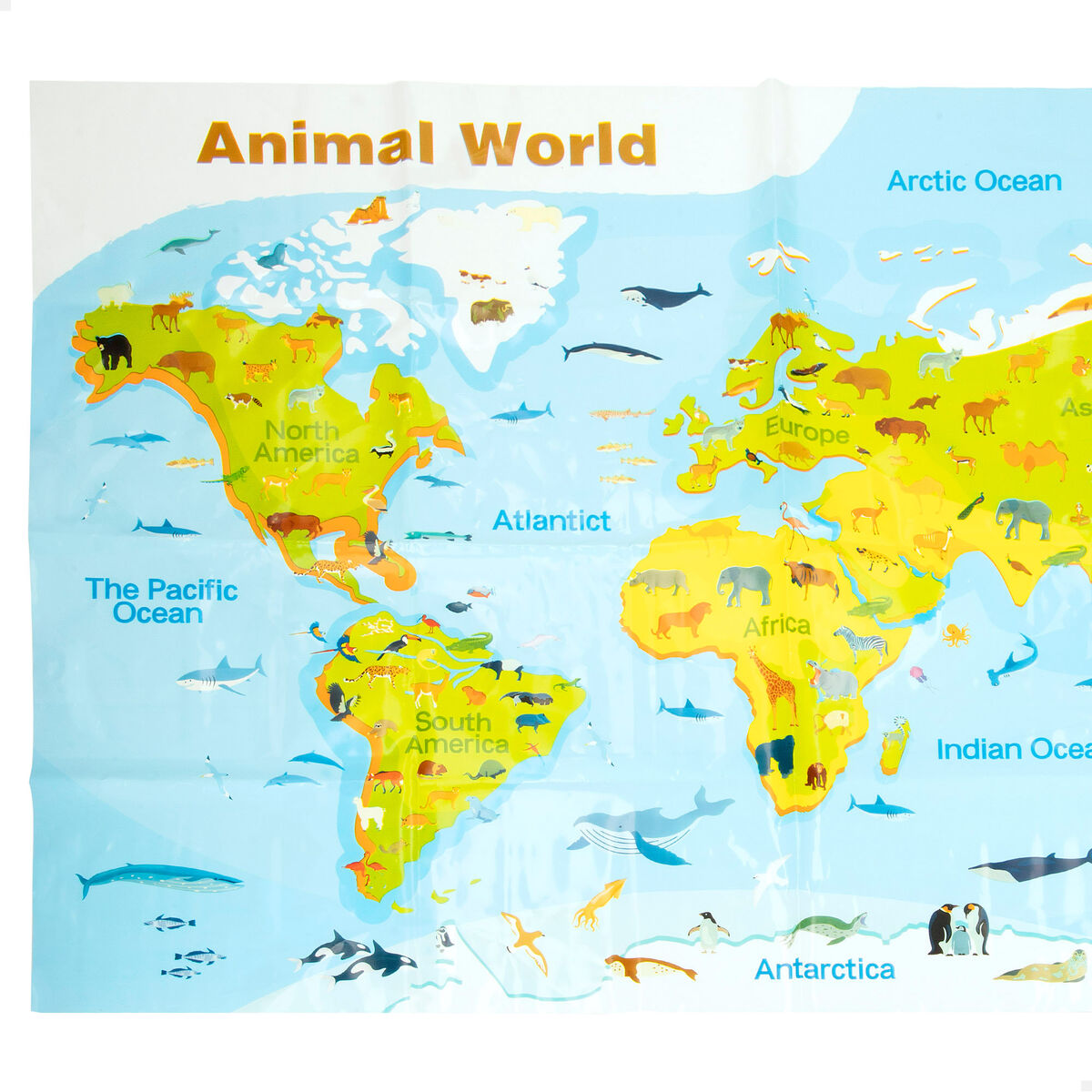 V2H8053406B3873F006E7059D21FB975ABDR7514074P4