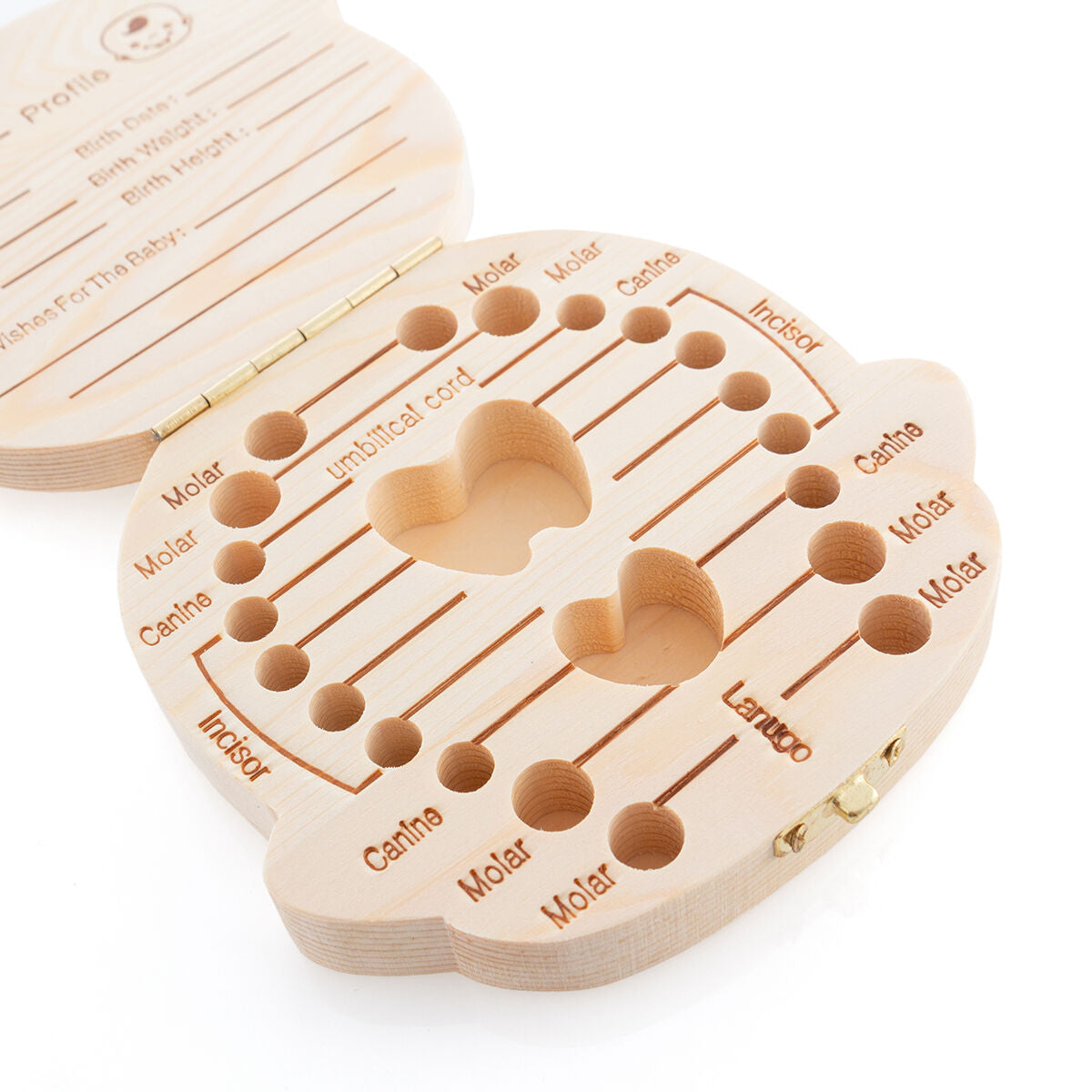 V13HB3E74AF0E2E5A1487505E024EB2065FAR5253354P7