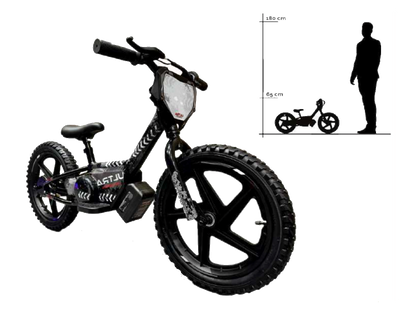 24 Volt Elektrische Balance Bike Met 16 Inch Wielen, Elektrische Motor - Zwart