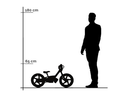 24 Volt Elektrische Balance Bike Met 16 Inch Wielen, Elektrische Motor - Groen