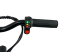24 Volt Elektrische Balance Bike Met 16 Inch Wielen, Elektrische Motor - Zwart