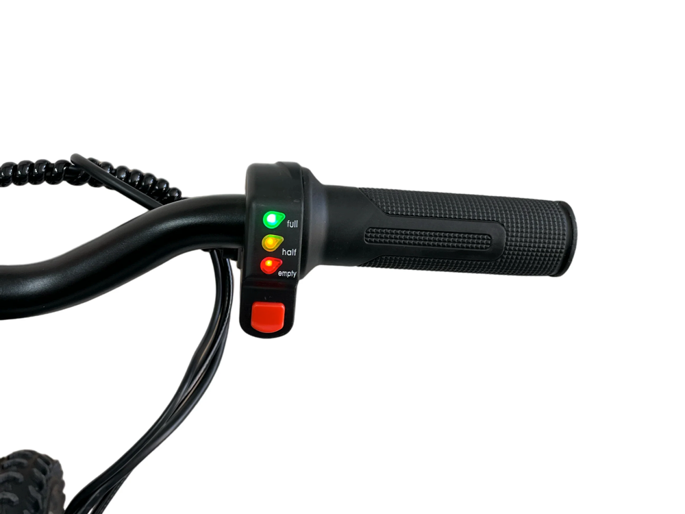 24 Volt Elektrische Balance Bike Met 16 Inch Wielen, Elektrische Motor - Zwart