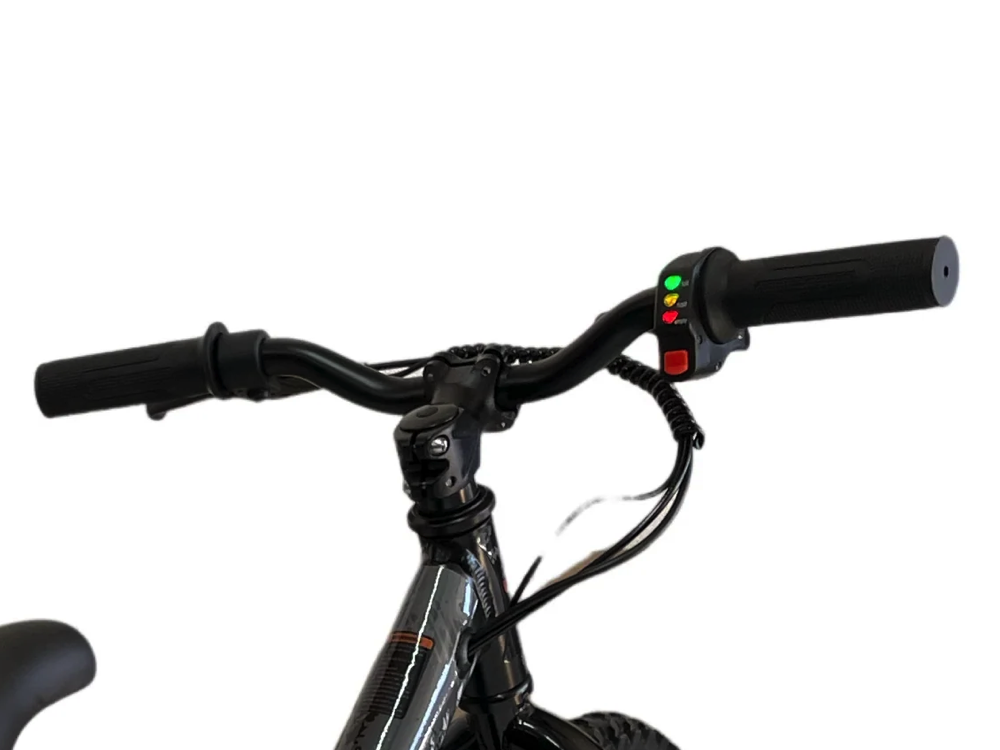 24 Volt Elektrische Balance Bike Met 16 Inch Wielen, Elektrische Motor - Zwart
