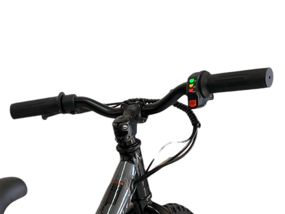 24 Volt Elektrische Balance Bike Met 16 Inch Wielen, Elektrische Motor - Zwart
