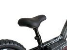 24 Volt Elektrische Balance Bike Met 16 Inch Wielen, Elektrische Motor - Zwart