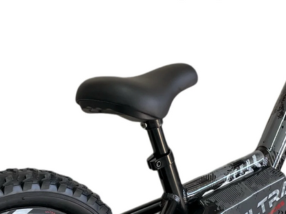 24 Volt Elektrische Balance Bike Met 16 Inch Wielen, Elektrische Motor - Zwart