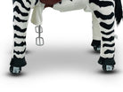 My Pony, Rijdend Speelgoed  Zebra Van Rollzone ®, 3 - 6 Jaar (Mp2001-S)