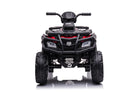 24 Volt Lithium Elektrische Quad, 4 Motoren, Rubberen Banden, Leder Zitting En Meer!