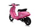24 Volt Lithium Elektrische Kinder Scooter Met 350 Watt Aandrijving